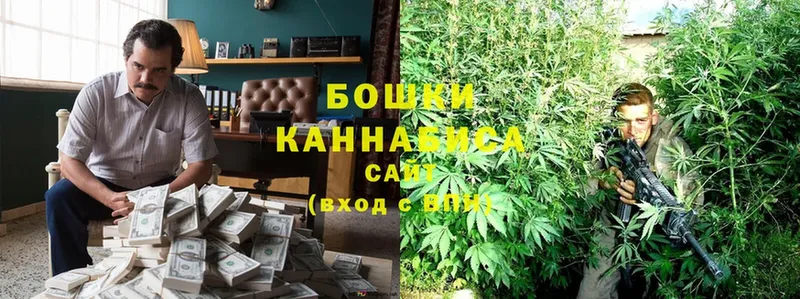 Бошки марихуана OG Kush  наркотики  Богучар 